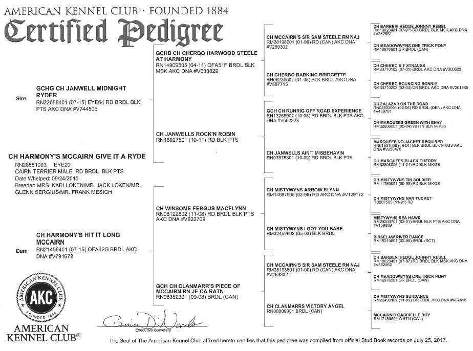 Widget's Pedigree