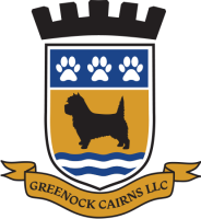 greenock cairns logo Home of Show Quality Cairn Terriers